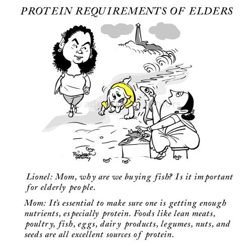 Elder_care_illustrartions_Protein_Requirements_of_Elders_advantAGE_seniors